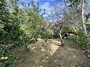 Photo 37- click for photo gallery